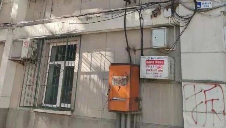 澳门2025年正版免费资料,杭州地铁惊现”逃票“宠物犬,最新热门解答落实_标清版V2.96