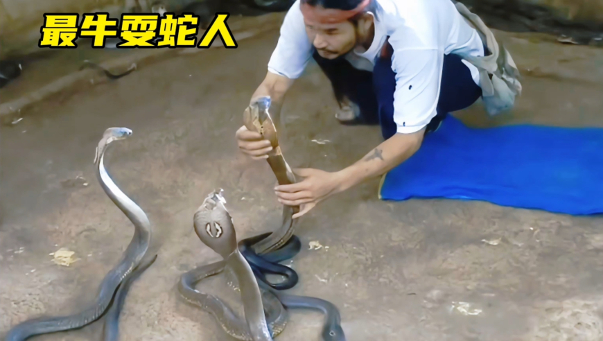 狸猫换哪吒三太子,正版管家婆免费资料正版图,社会责任方案执行_静态版V15.46